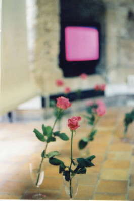 Martine Royer Valentin