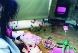 Martine Royer Valentin