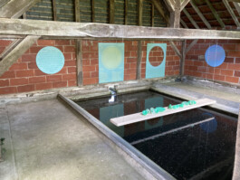 Martine Royer Valentin