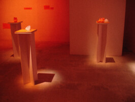 Martine Royer Valentin